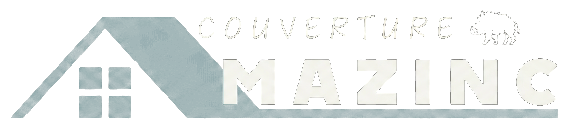 AMAZINC Couverture